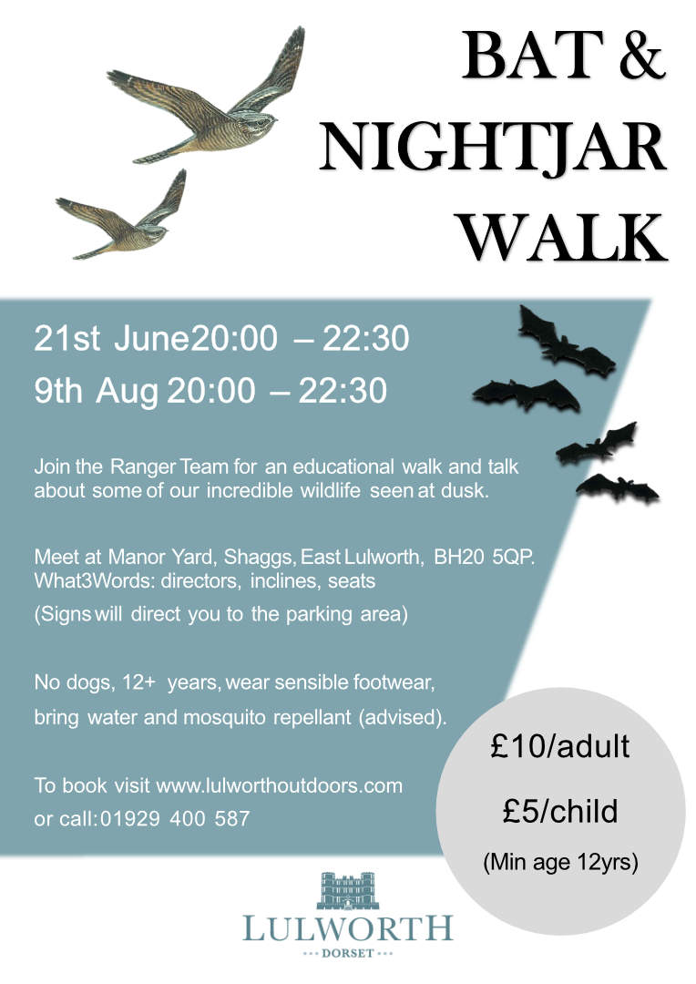 Bat and Nightjar walk 2024
